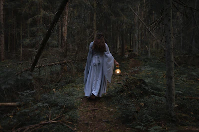 A vibrant book cover featuring a mystical forest with glowing creatures and a young hero holding a lantern.