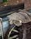 A collection of fishing nets draped over the edge of a wooden boat. The scene includes a mix of nets, ropes, and a rusty metal wheel, all set against a background of cobblestone paving with scattered leaves.