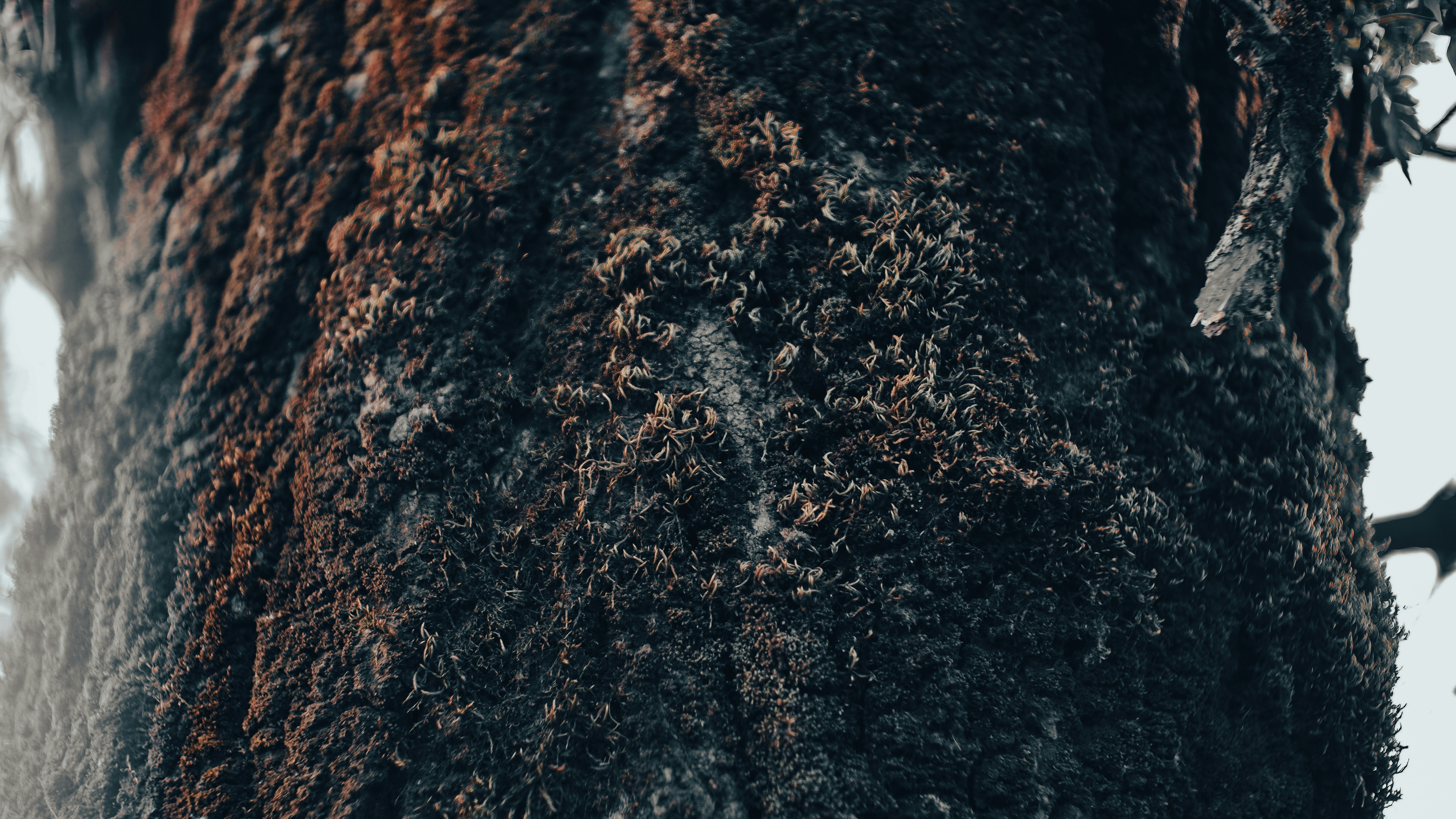 photo-1701009724304-65144a3c63ff