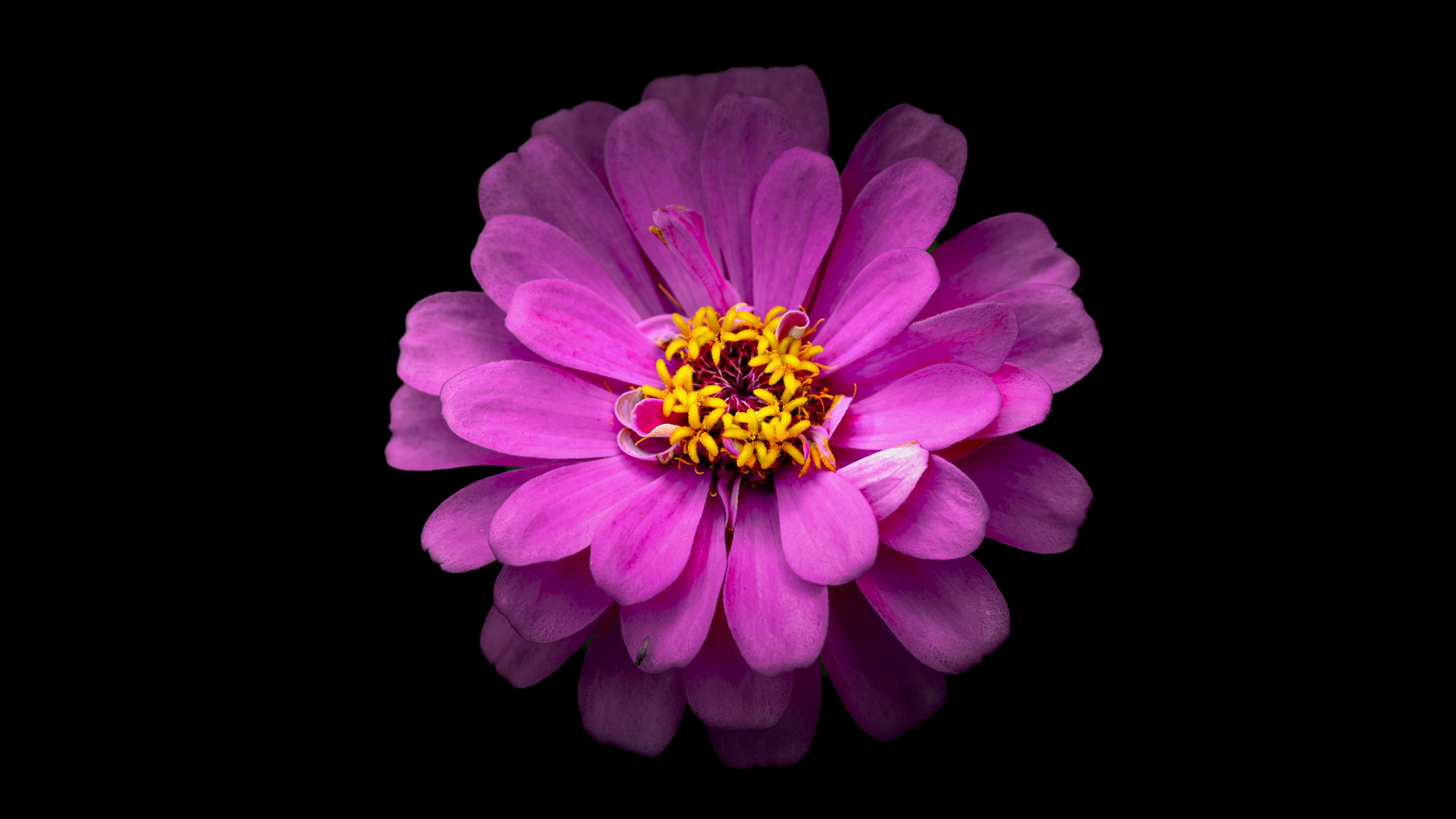 Photo by wenhao_ruan