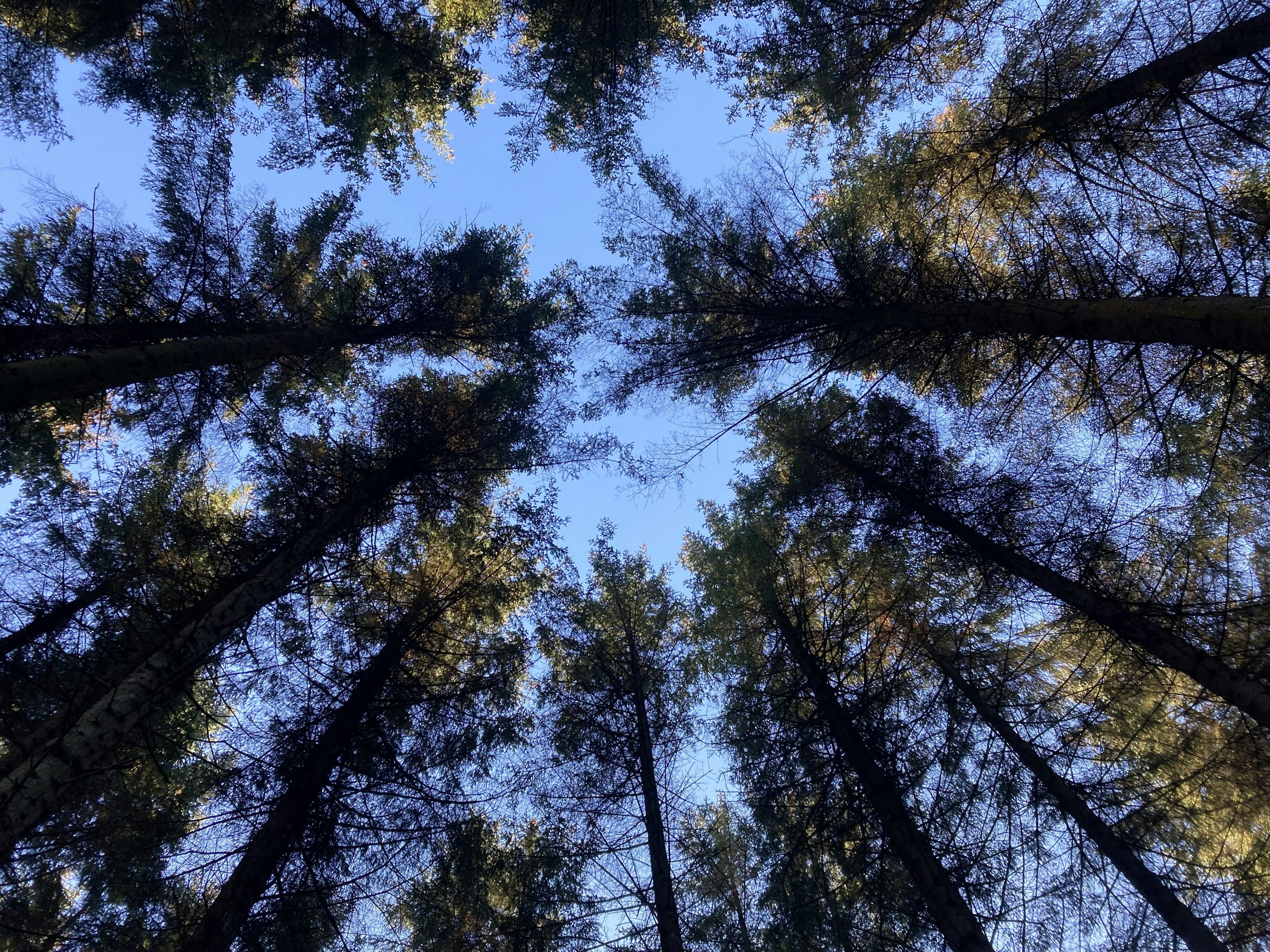 Photo by supersaver1234