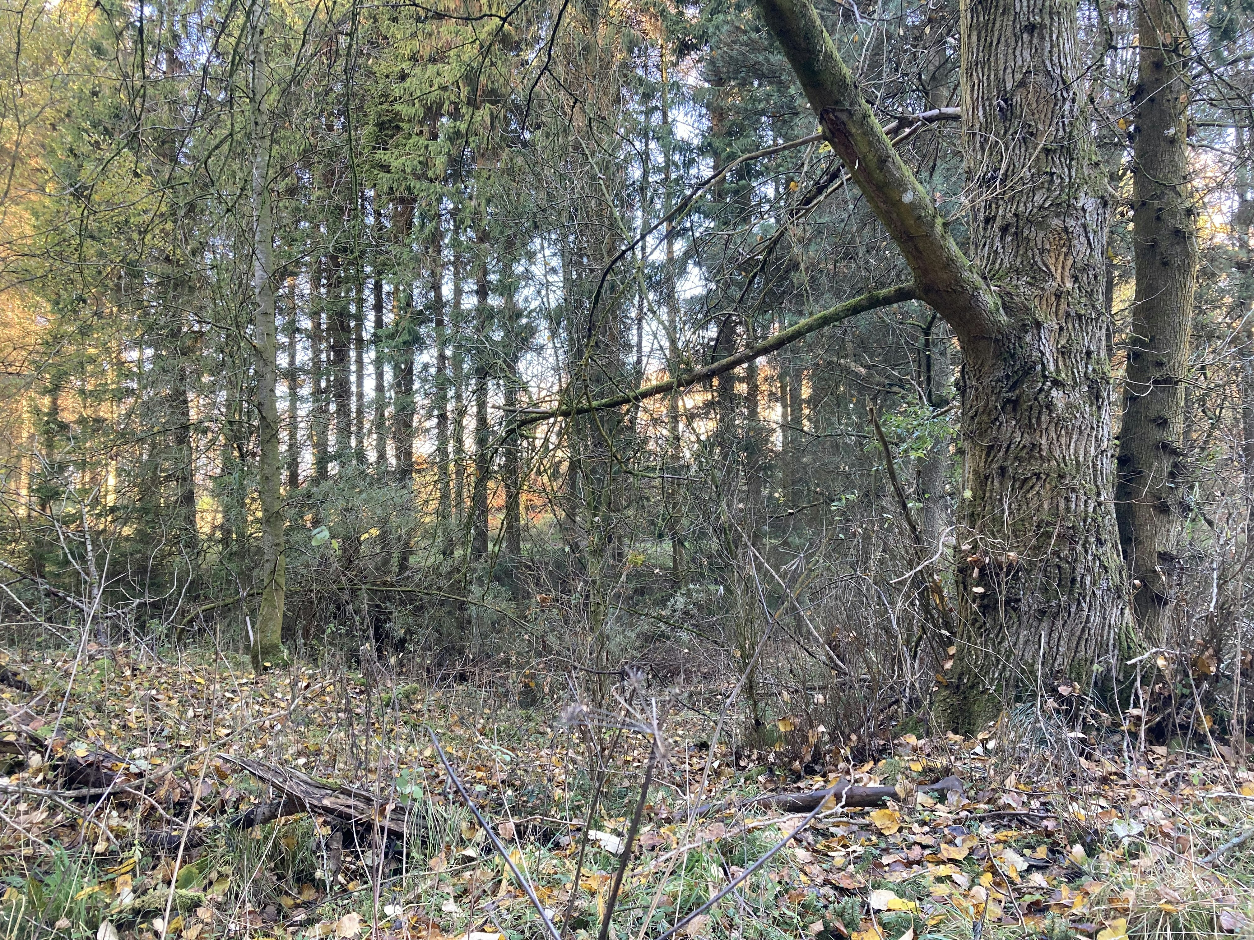 Photo by supersaver1234