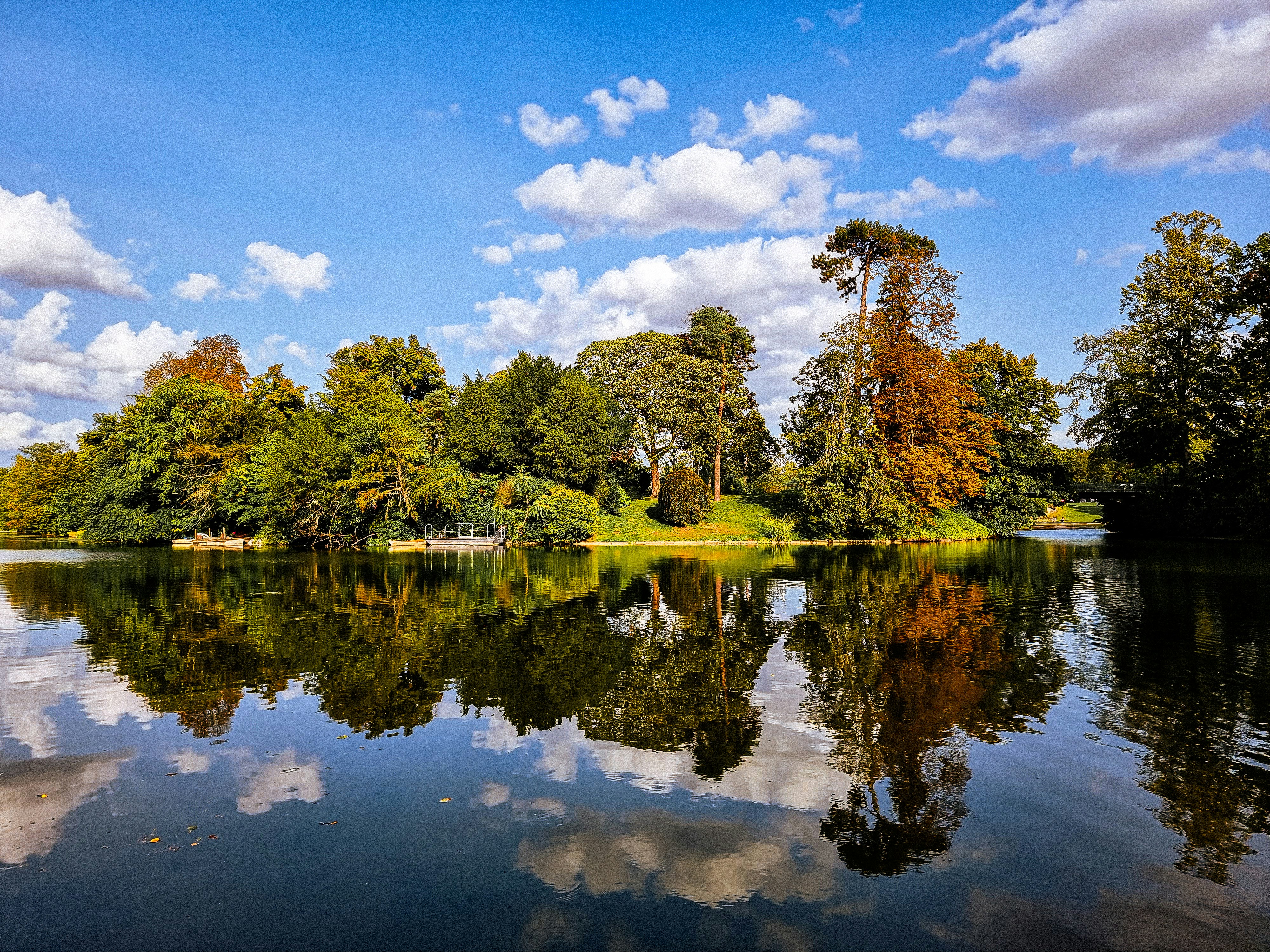 a body of water surrounded by trees and clouds