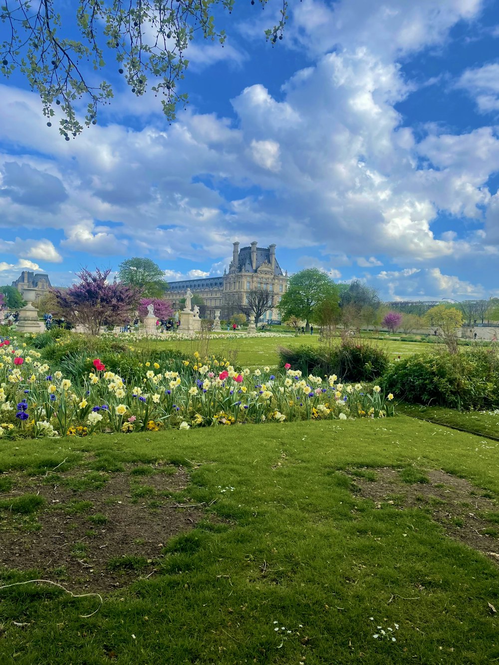 a field of flowers with a castle in the background