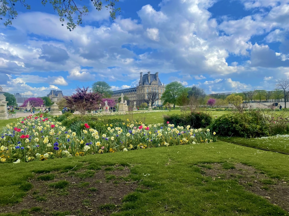 a field of flowers with a castle in the background