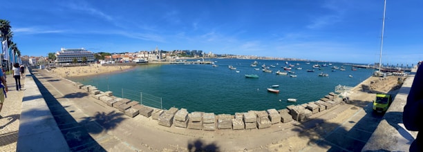 A panoramic view of Ensenada's downtown area with people walking and local businesses.