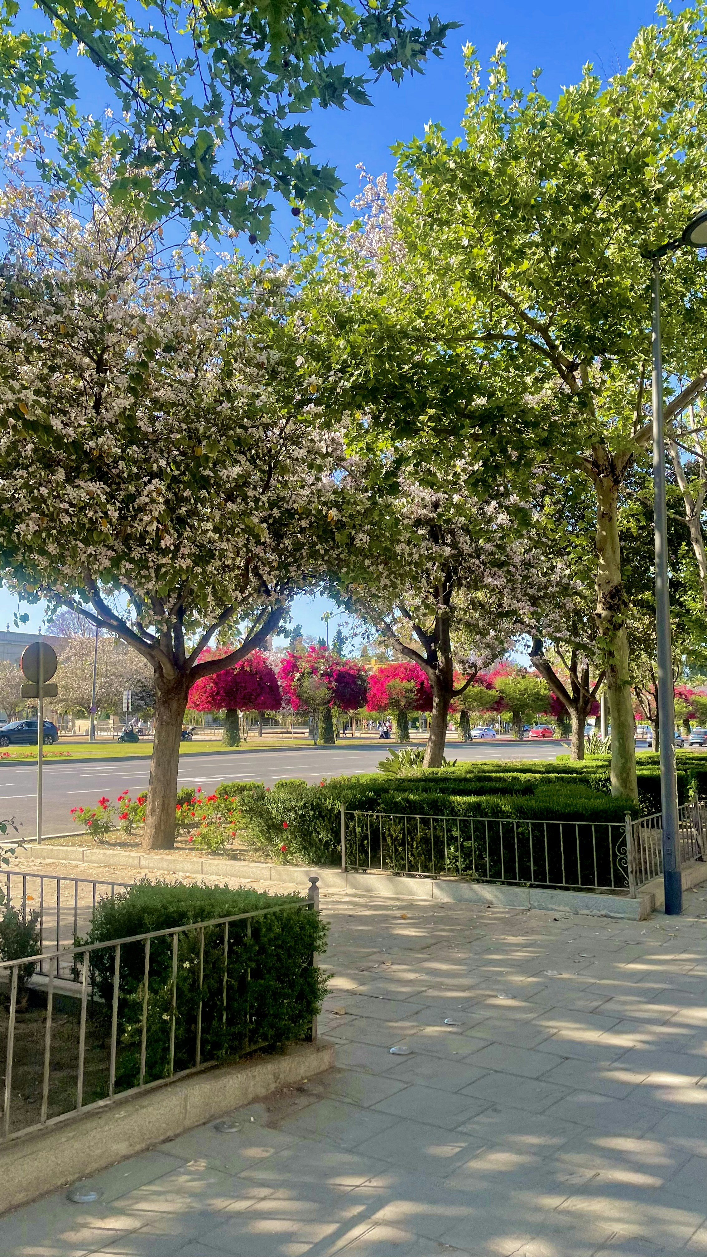 a park area with trees, bushes, and a street light