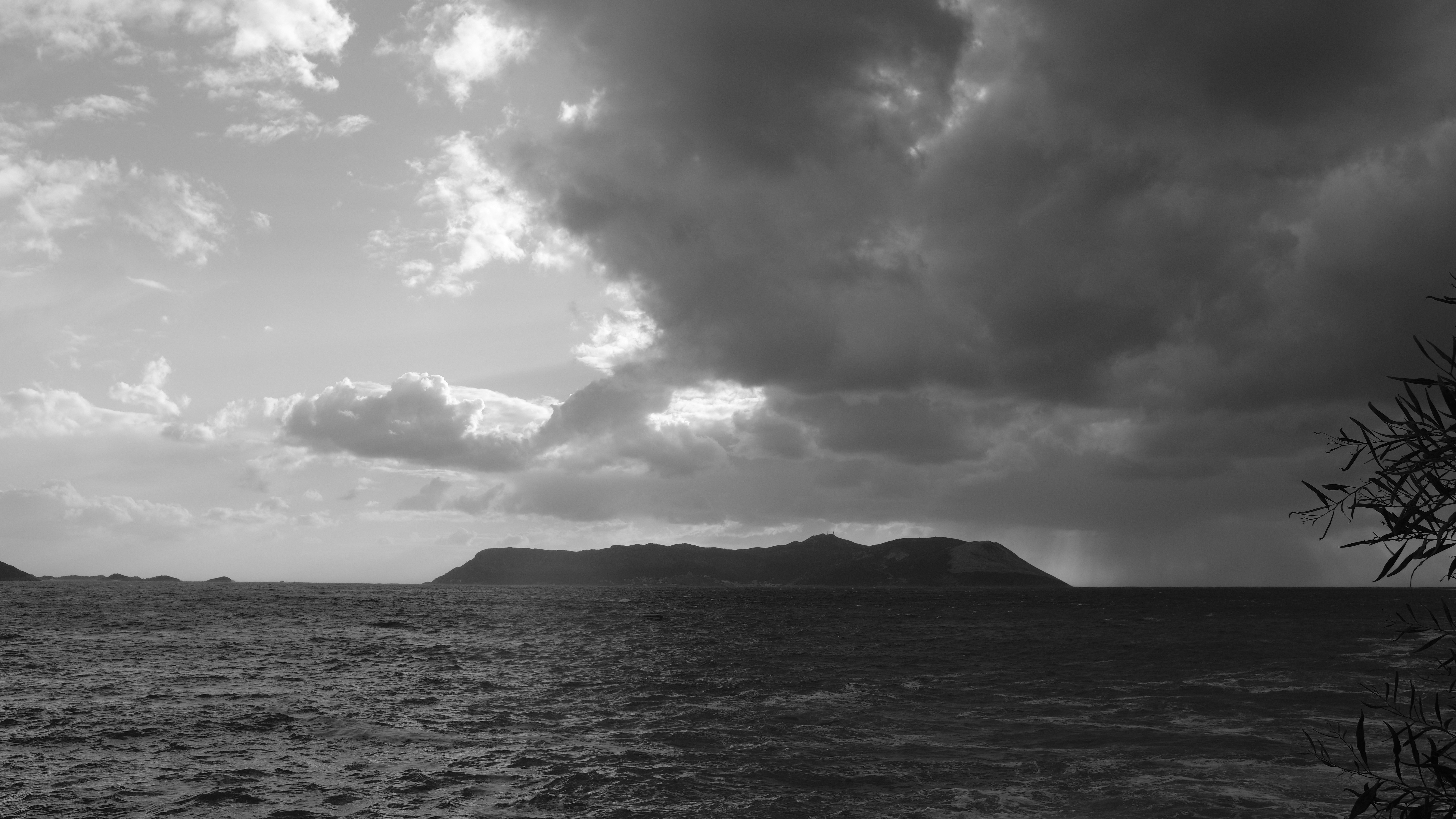 Photo by shivahemmat