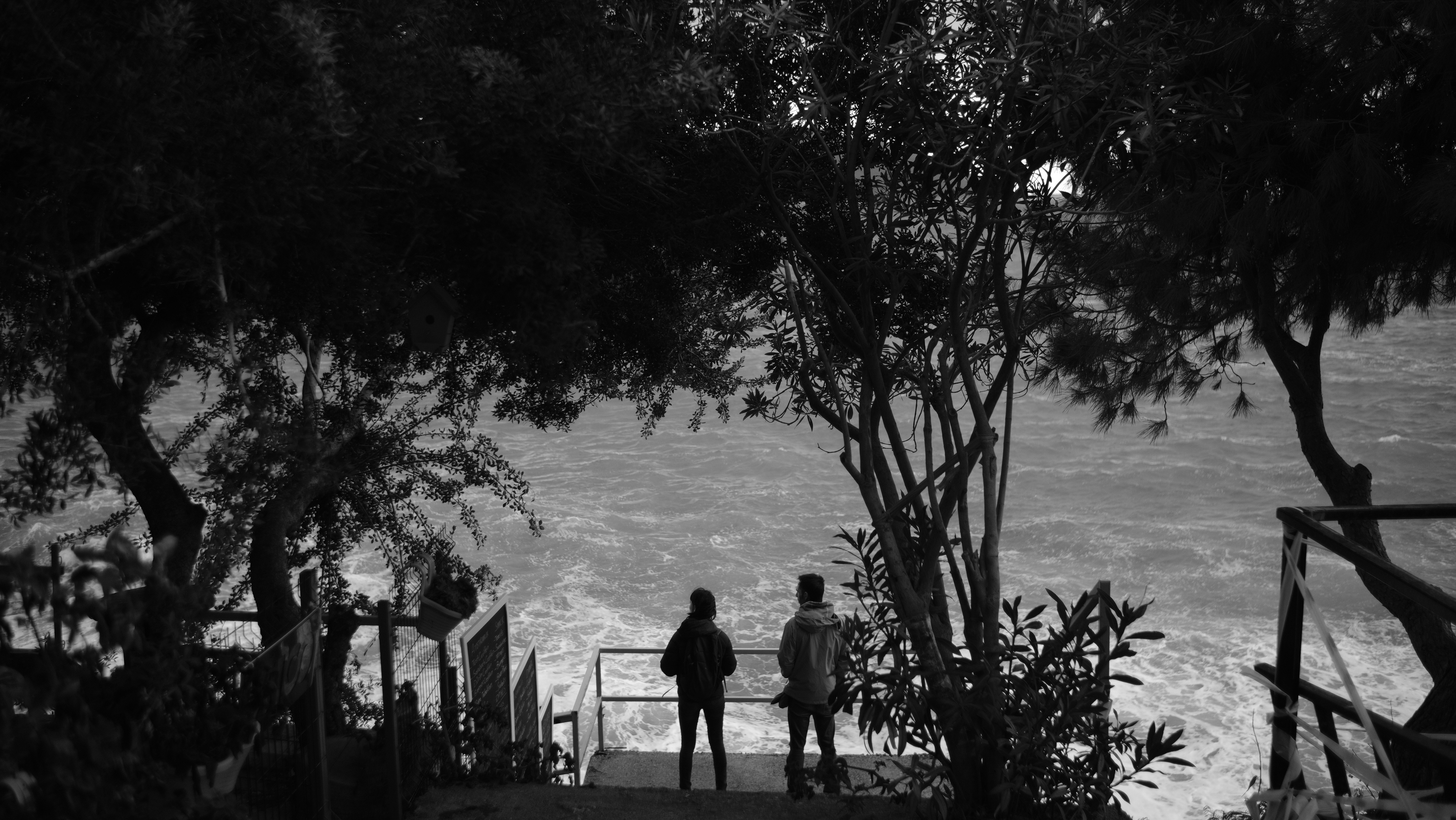 Photo by shivahemmat