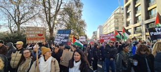 A large group of people are participating in a protest, holding various signs and flags. The signs carry messages advocating for peace, liberation, and a permanent ceasefire. Palestinian flags are visible among the crowd, which is diverse and bundled up in winter clothing. Trees and a modern building line the background on a sunny day.