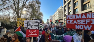 A large group of people are gathered in a city street, holding various signs related to political activism. Some of the signs display messages such as 'Freedom for Palestine' and 'Permanent Ceasefire Now'. The crowd includes men and women, some wearing scarves and winter clothing. Flags with green, white, and red colors are also visible. Buildings line one side of the street, while trees are on the other side, indicating an outdoor setting under a clear blue sky.