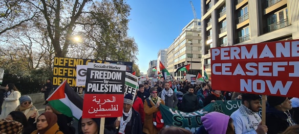 A large group of people are gathered in a city street, holding various signs related to political activism. Some of the signs display messages such as 'Freedom for Palestine' and 'Permanent Ceasefire Now'. The crowd includes men and women, some wearing scarves and winter clothing. Flags with green, white, and red colors are also visible. Buildings line one side of the street, while trees are on the other side, indicating an outdoor setting under a clear blue sky.