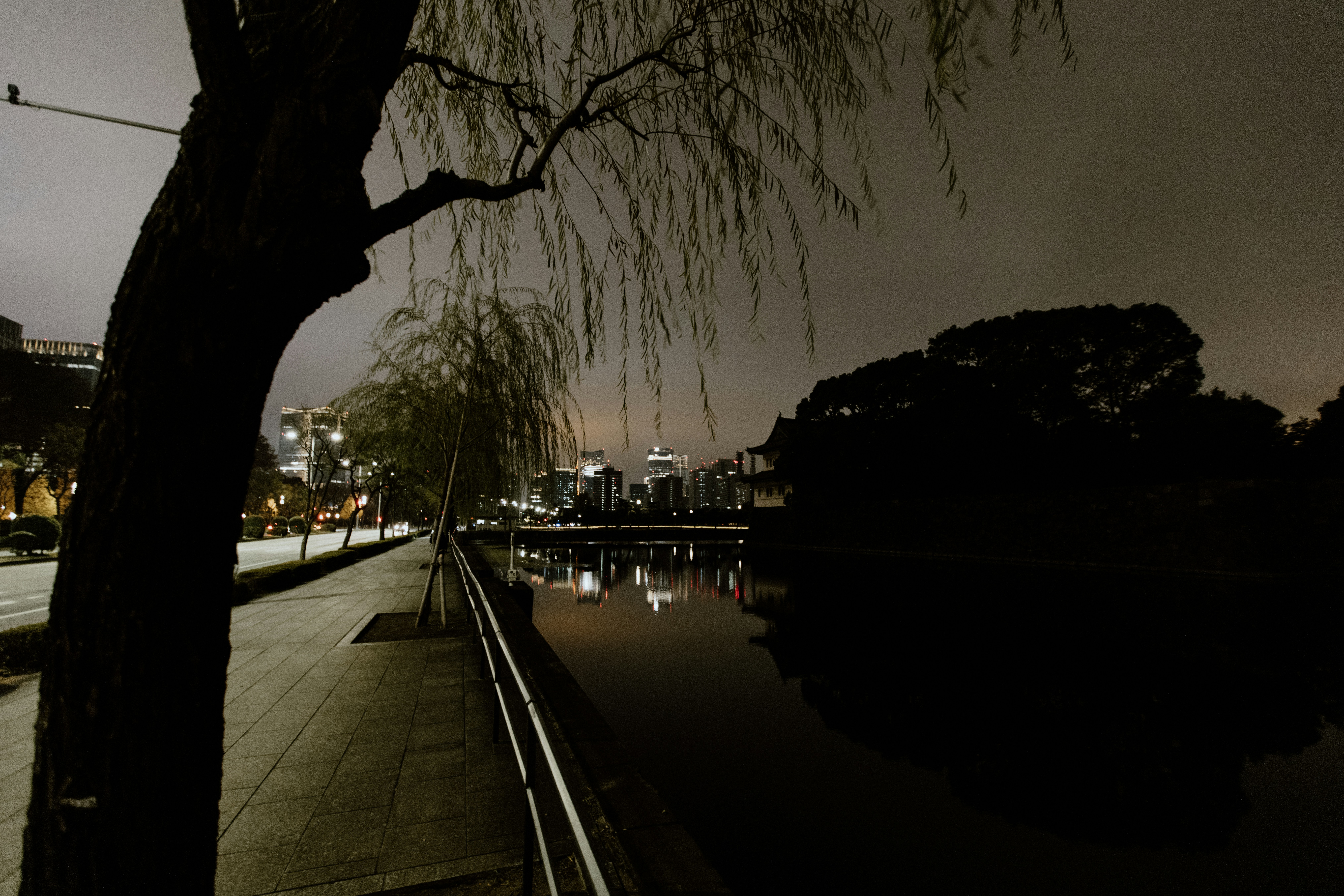 Photo by _d