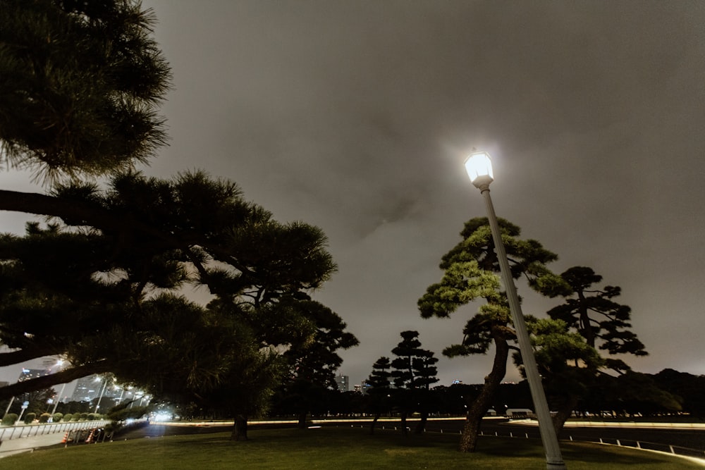 un lampadaire au milieu d’un parc