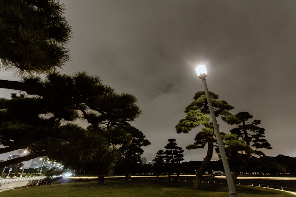 a street light in the middle of a park