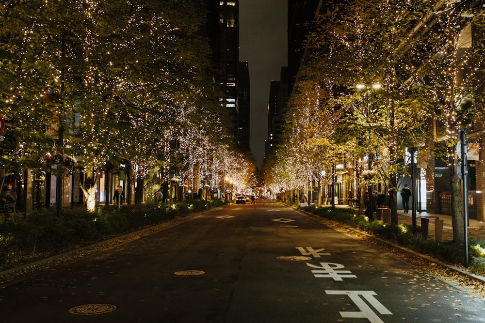 une rue bordée d’arbres et de lumières la nuit