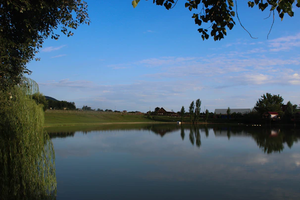 A calm lake reflecting the blue sky and surrounding green foliage in rural Belarus.