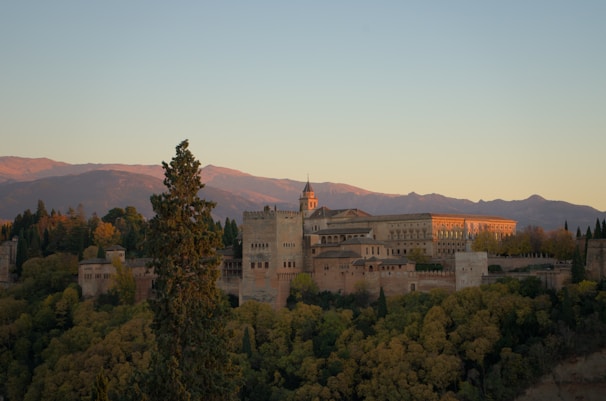 A serene view of Sigiriya Rock Fortress surrounded by lush greenery at sunrise.