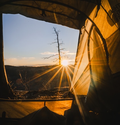A serene sunrise view through the open flap of a tent, revealing a lone tree silhouetted against the early morning sky. The sunlight streams through, casting a warm glow over the landscape and creating an inviting and peaceful atmosphere.