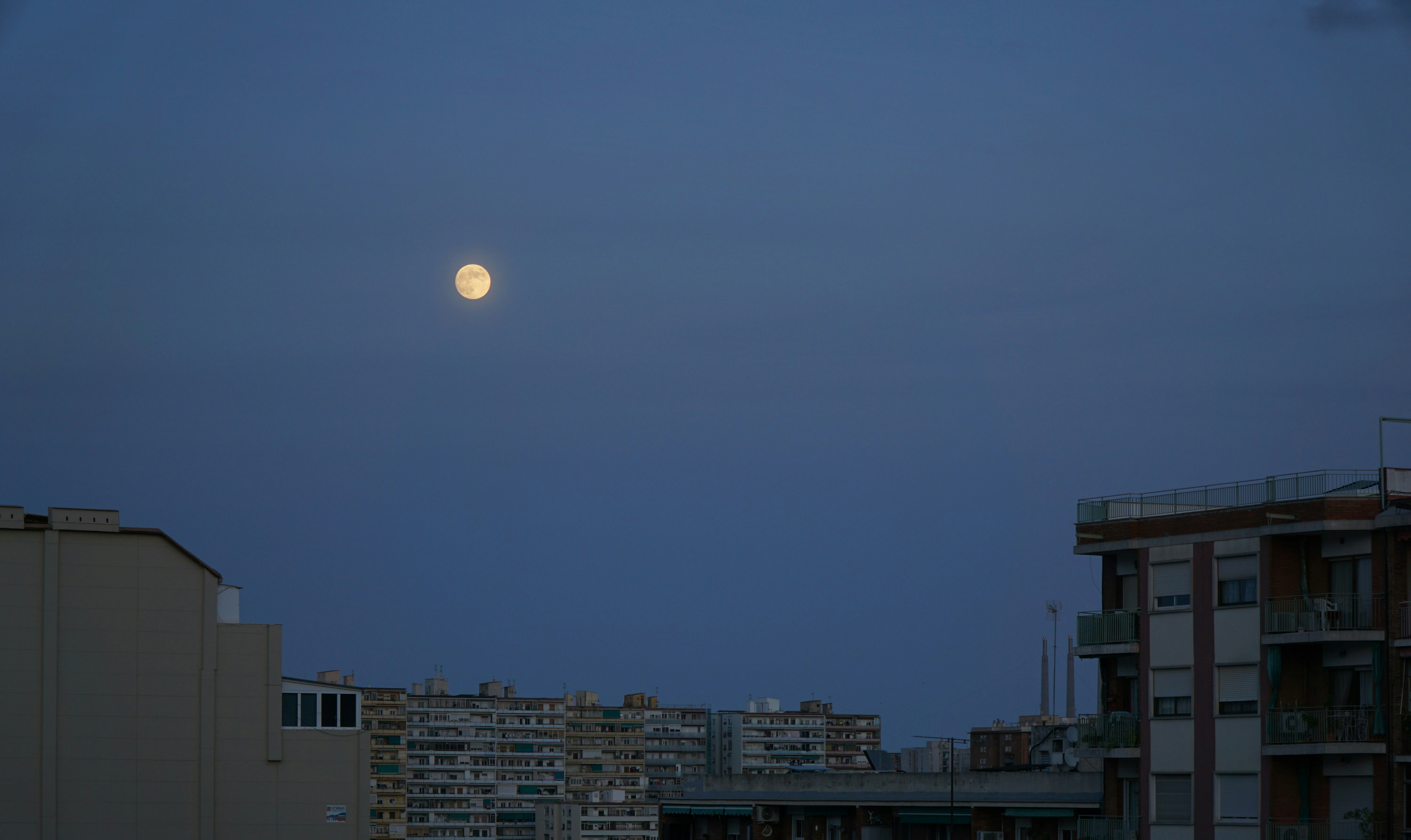Photo by arenow