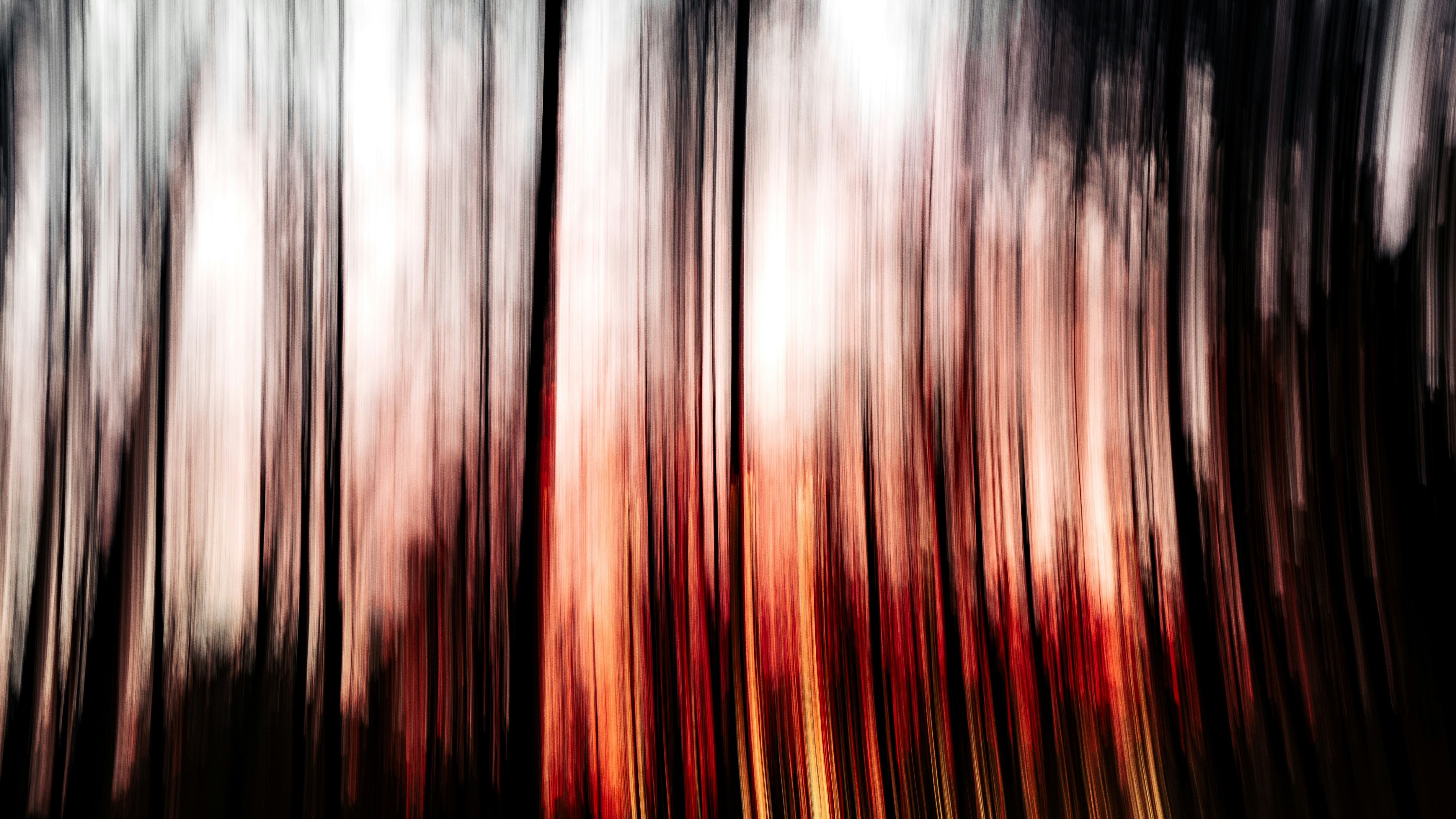 Photo by marekpiwnicki