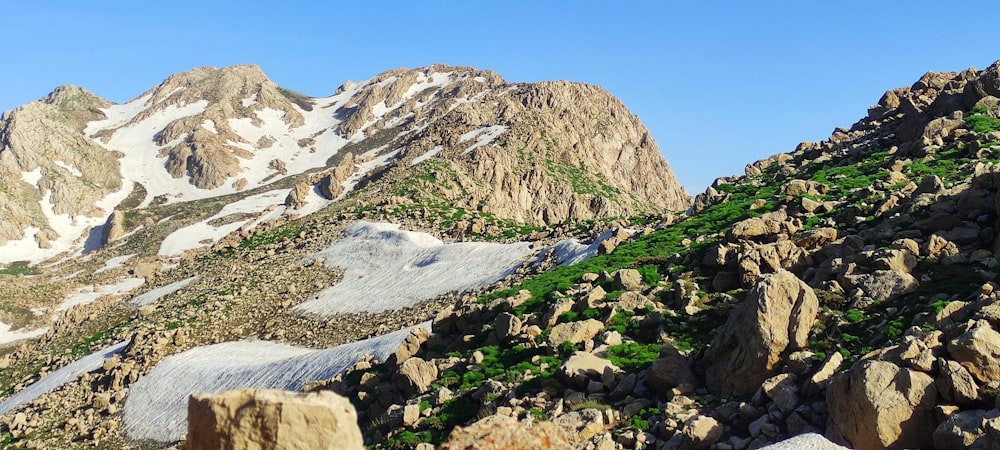 a view of a rocky mountain with green plants growing on it