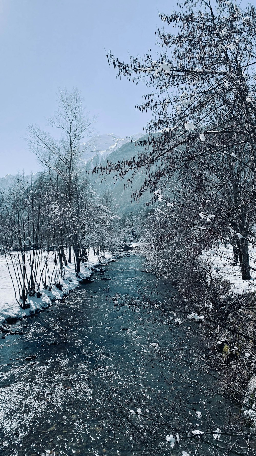 a river running through a snow covered forest