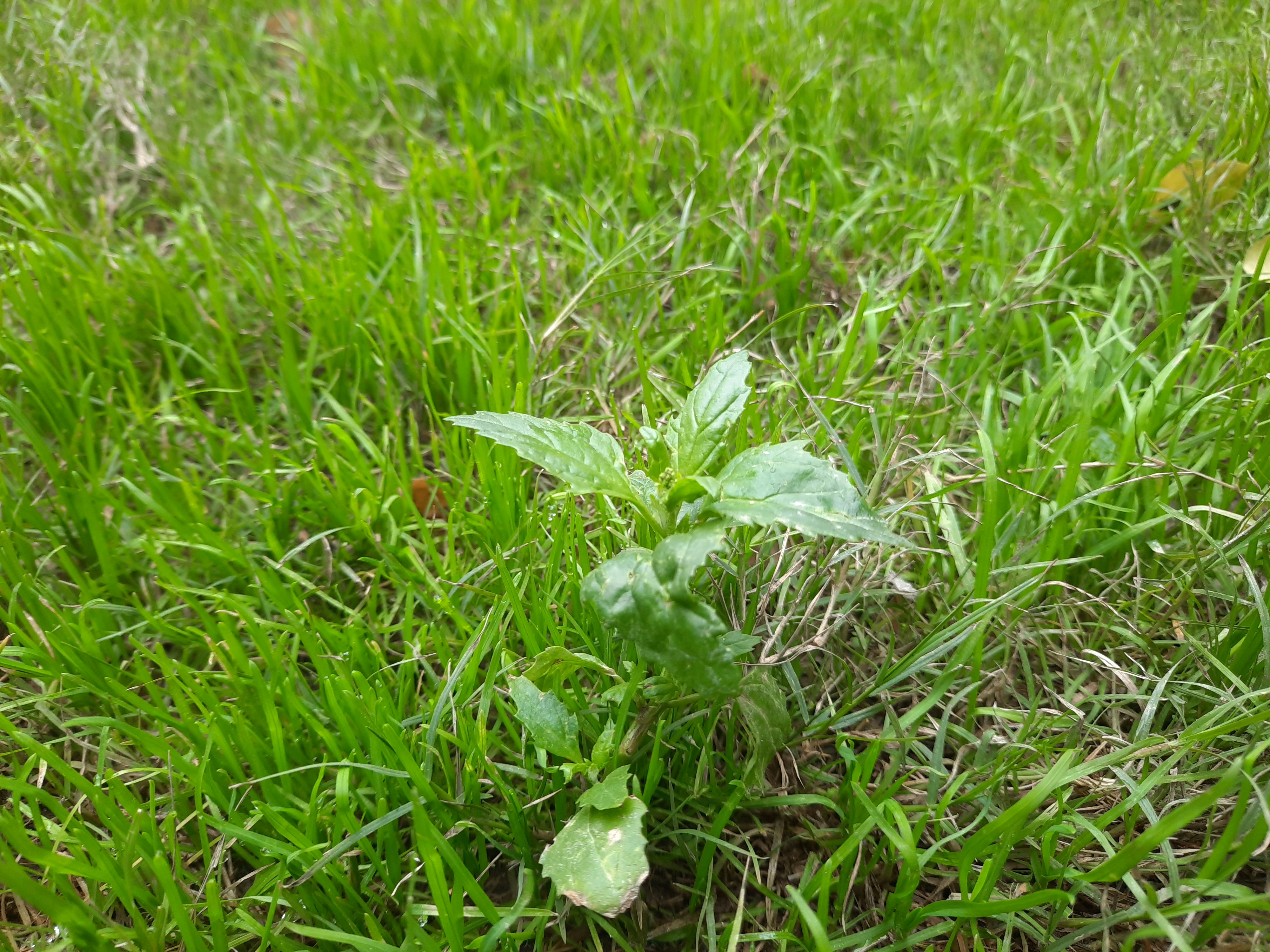 Photo by sohailarif89