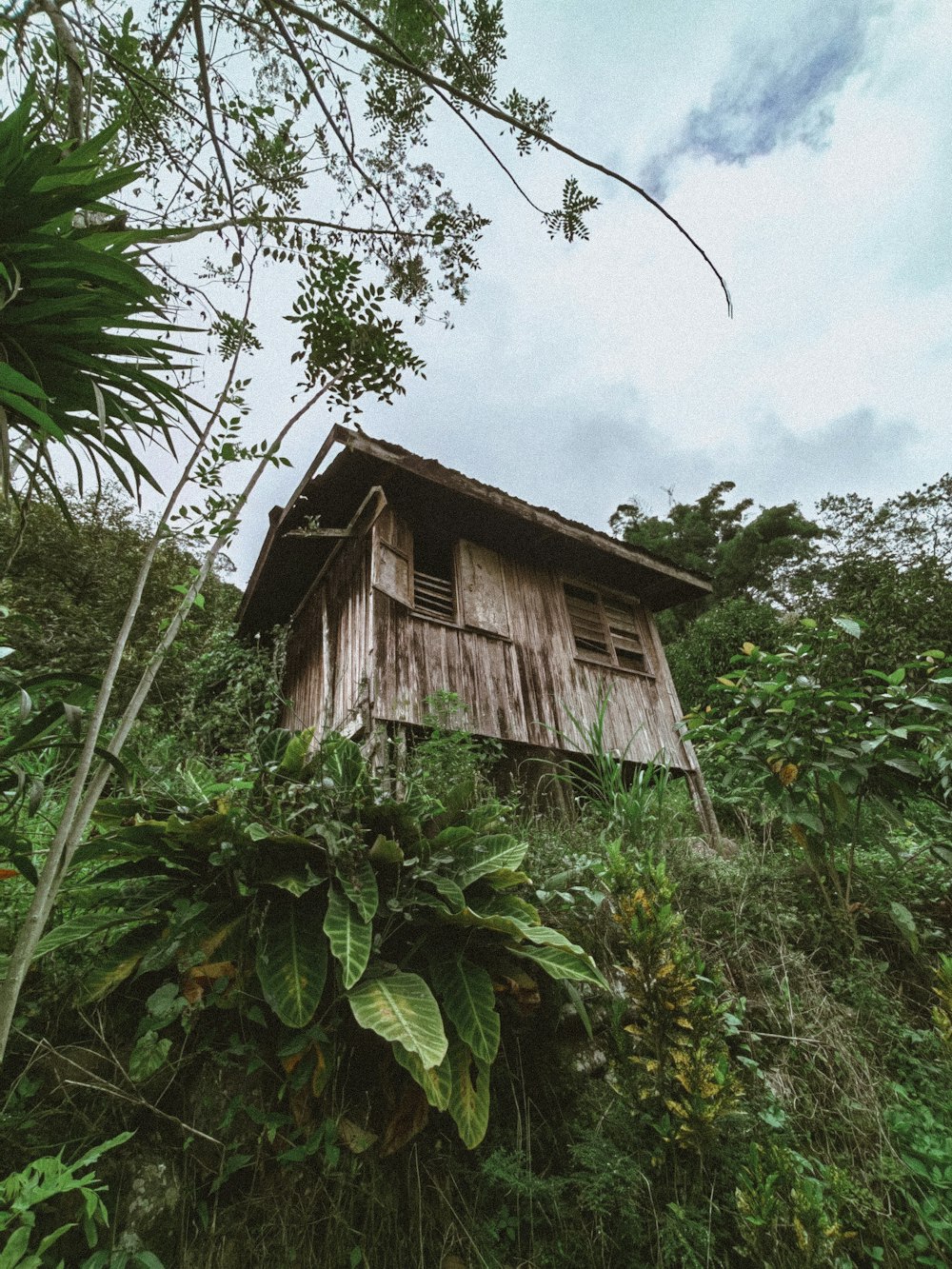 a small wooden house sitting on top of a lush green hillside