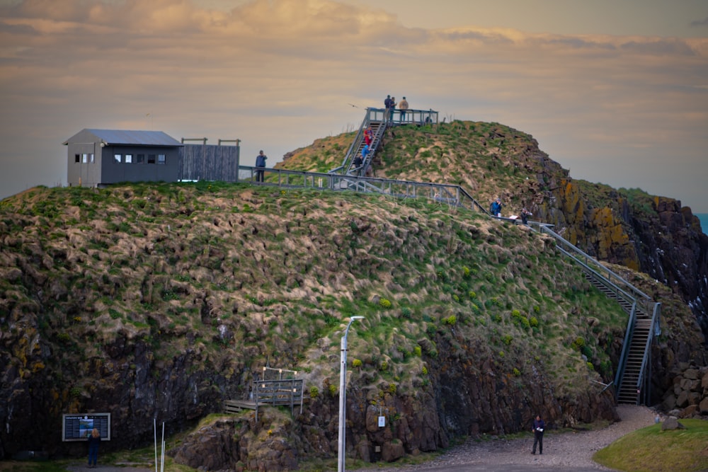 a group of people standing on top of a lush green hillside