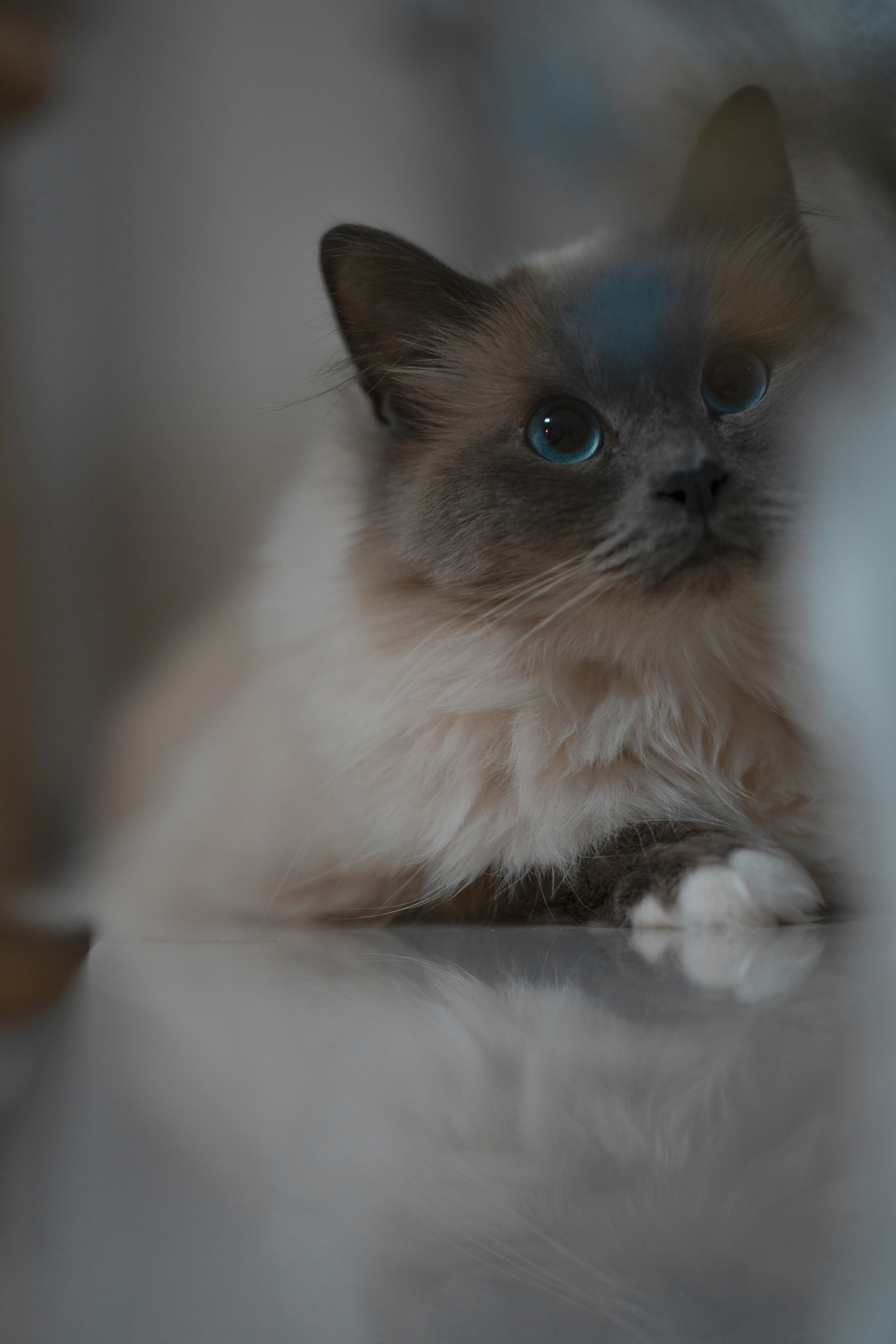 Photo by omarvellous14