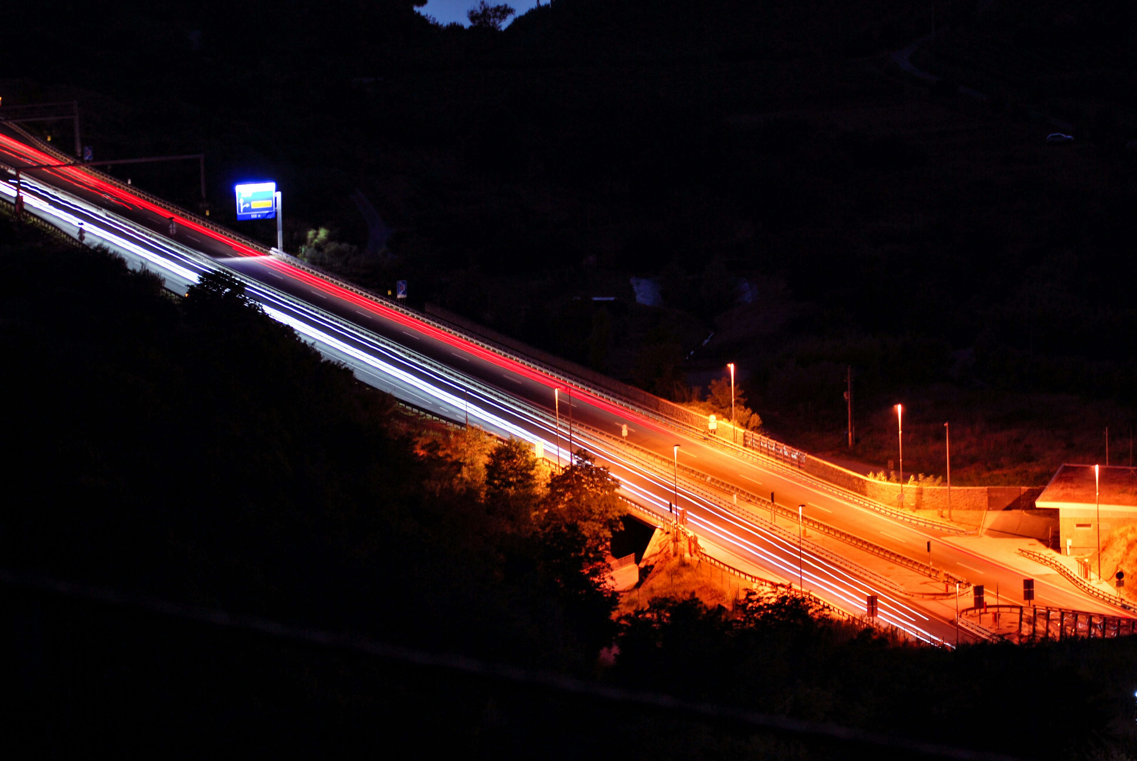 Photo by wild_visonsonig