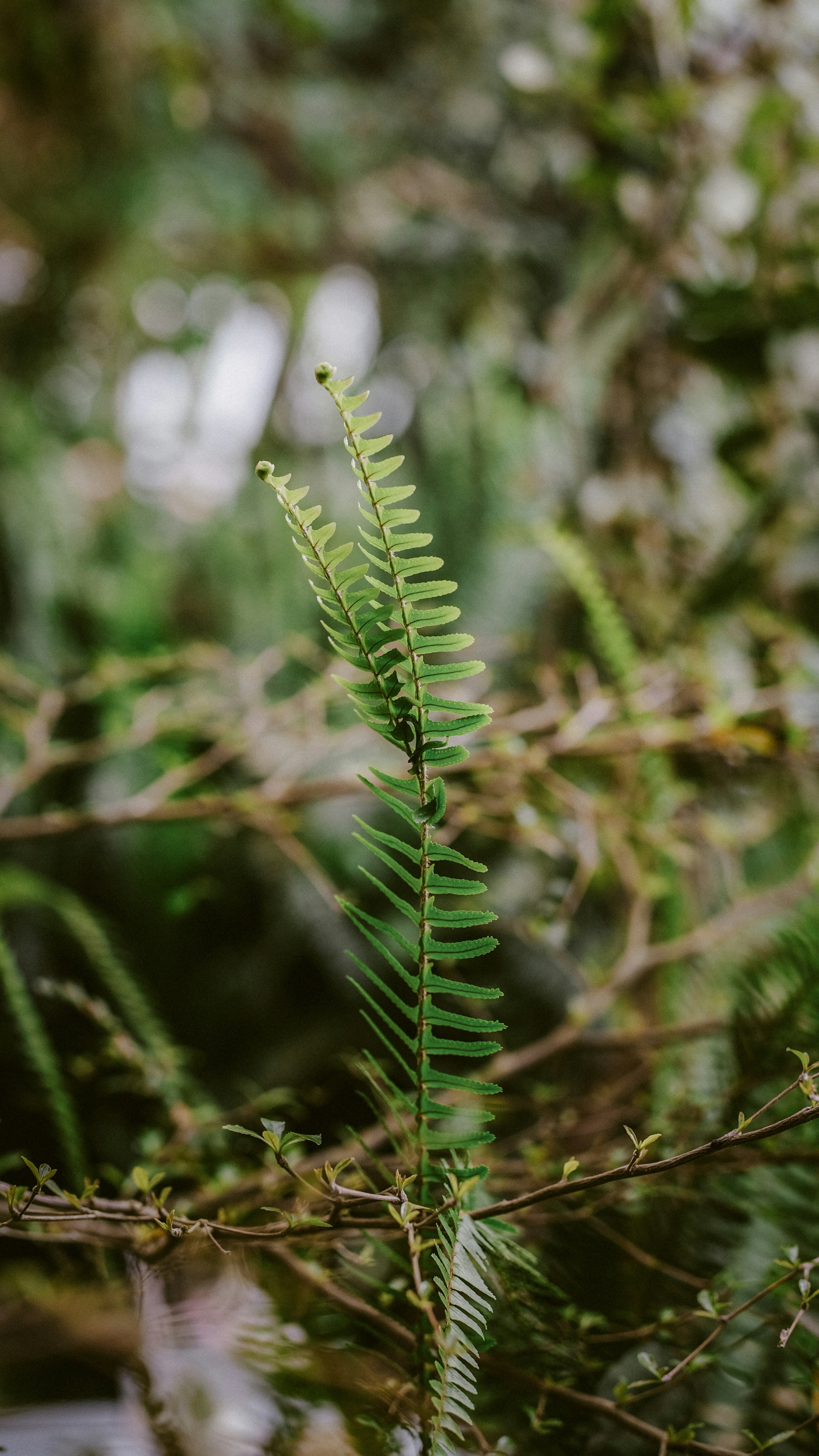 Photo by deeruspham286