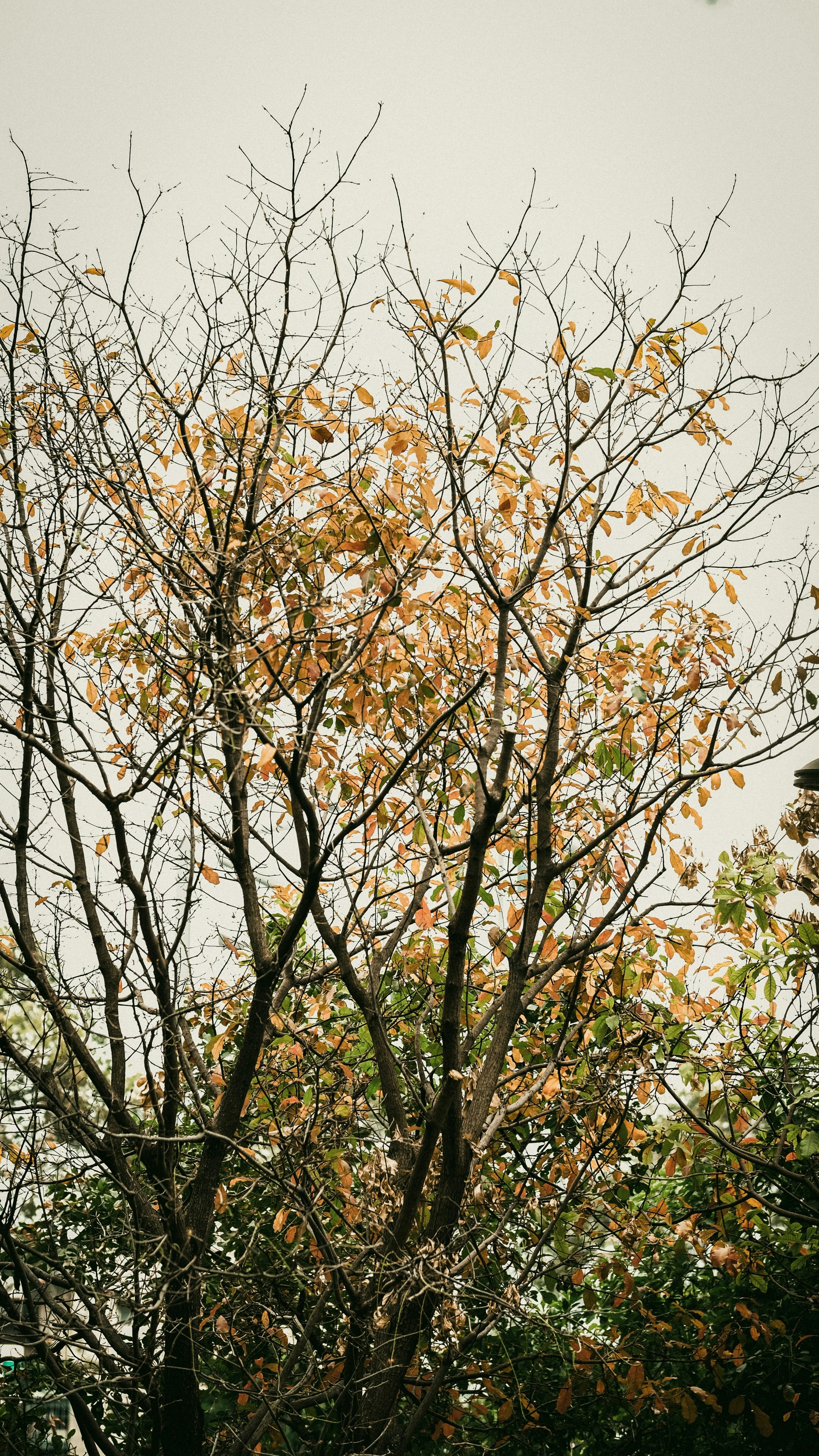 Photo by deeruspham286