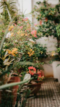 A finished outdoor flooring installation surrounded by vibrant plants.