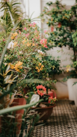 A lush garden setting with a variety of vibrant flowers, including pink, yellow, and white blooms. The plants are in terracotta pots, creating a cozy and inviting atmosphere. Tile flooring with a geometric pattern adds to the aesthetic, while green foliage fills the background.