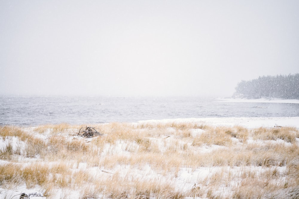 a snow covered field next to a body of water