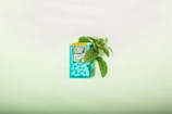 A pack of Tic Tac spearmint mints is placed on a light green surface. The pack is semi-transparent turquoise and filled with small, oval, light blue mints. There is a sprig of fresh mint leaves visible beside the pack.