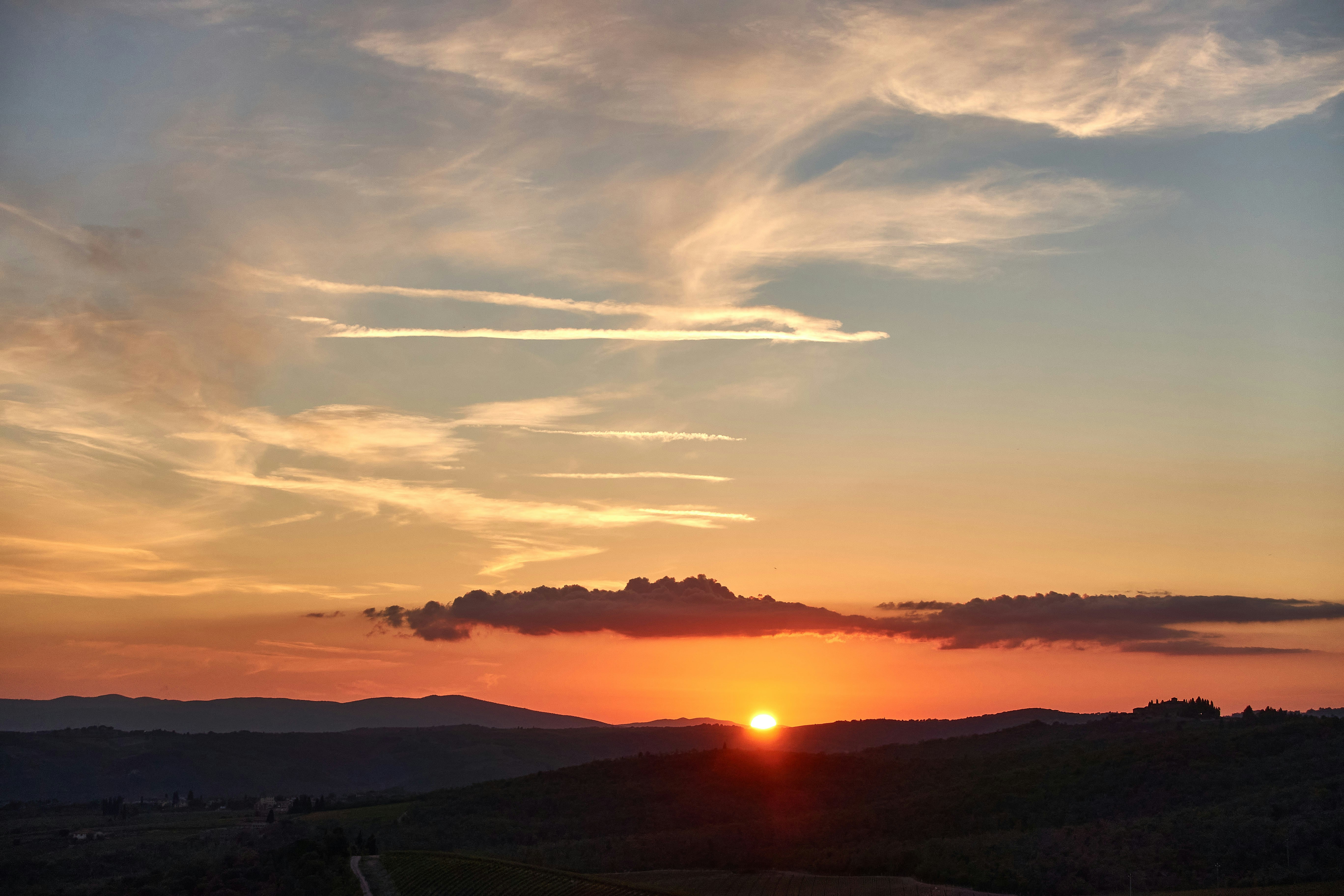 Photo by wolfgang_hasselmann