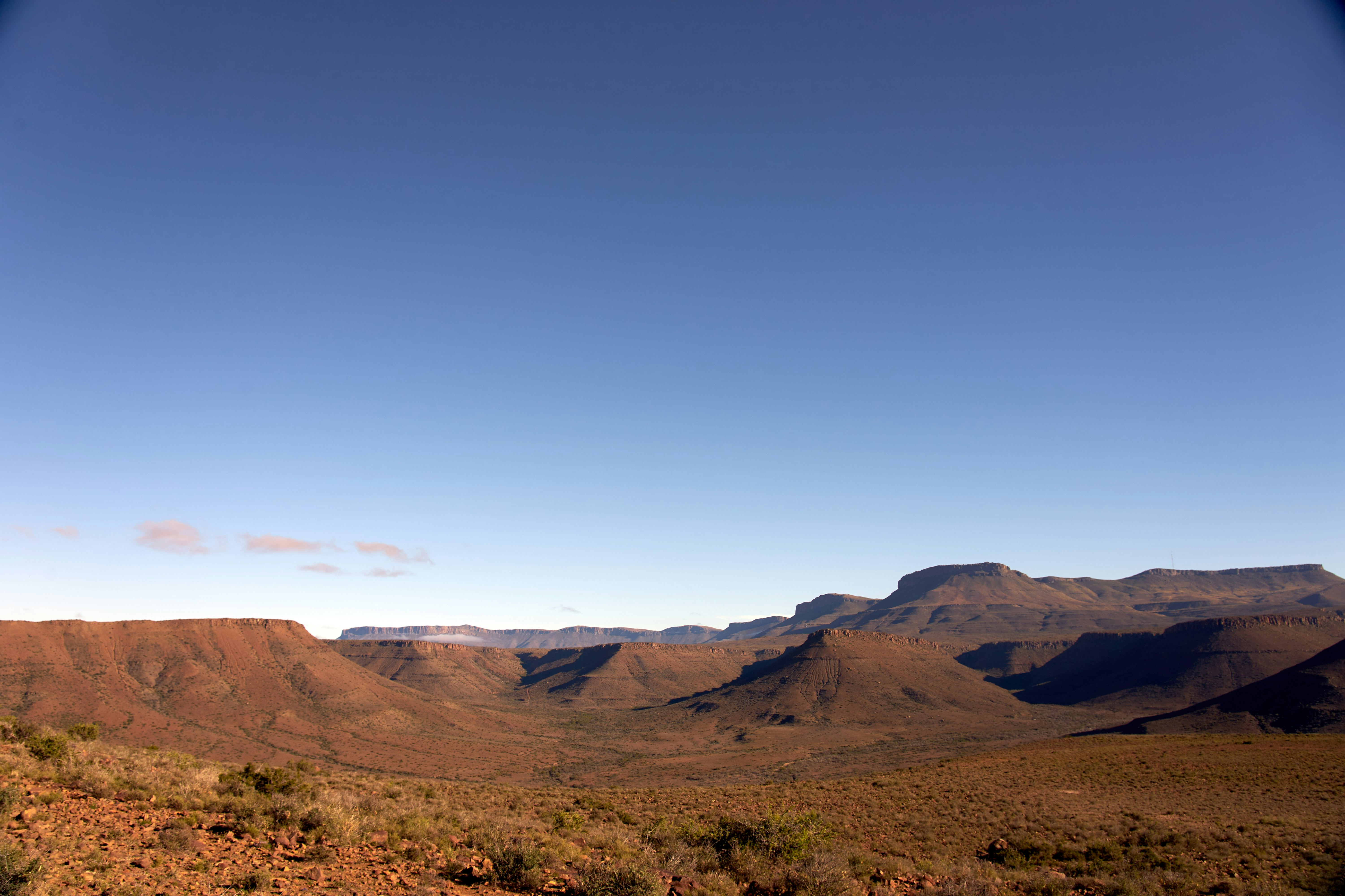 Photo by wolfgang_hasselmann