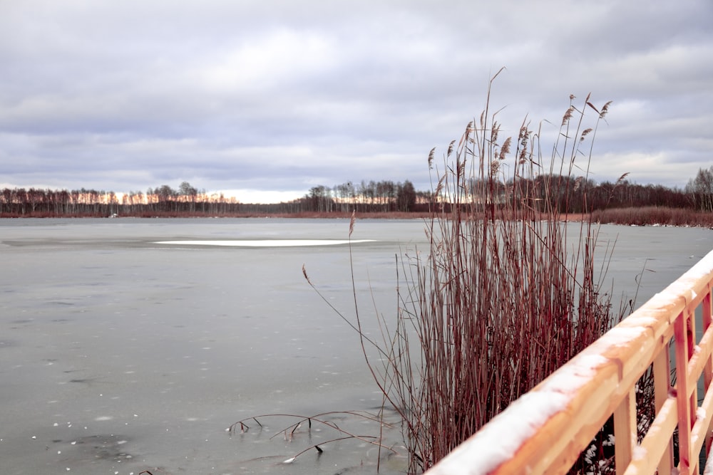 a view of a body of water from a bridge