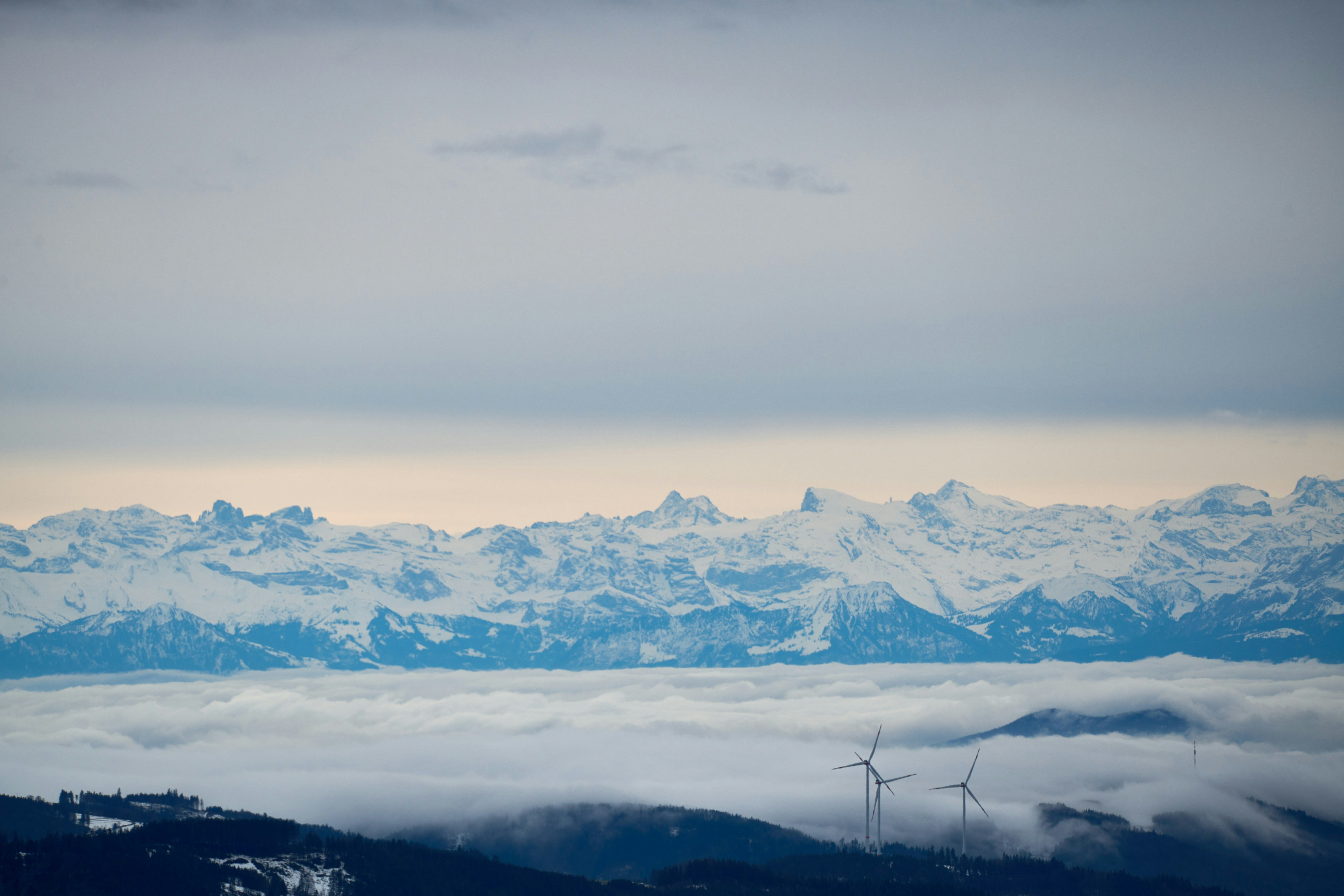 Photo by wolfgang_hasselmann