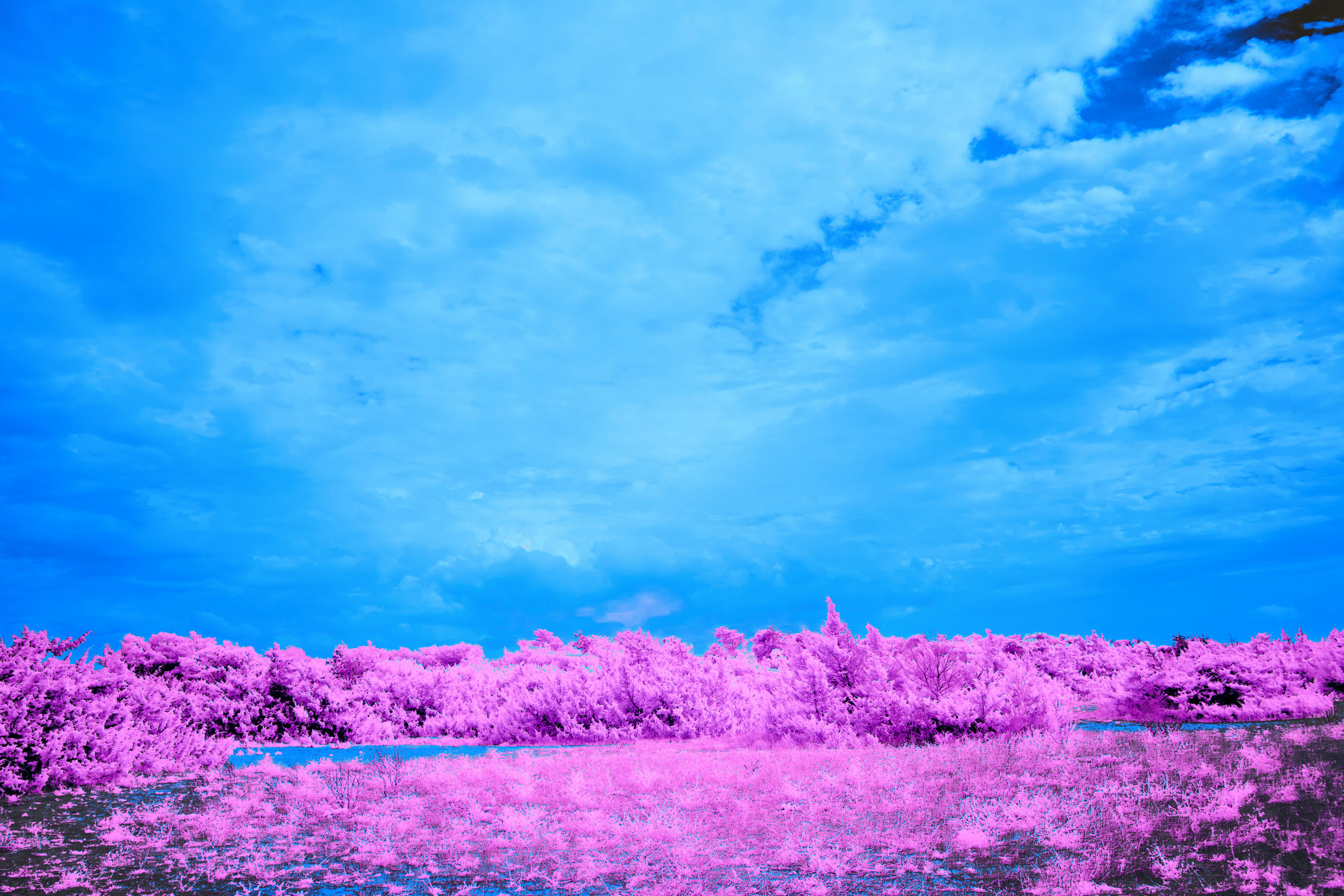 Photo by wolfgang_hasselmann