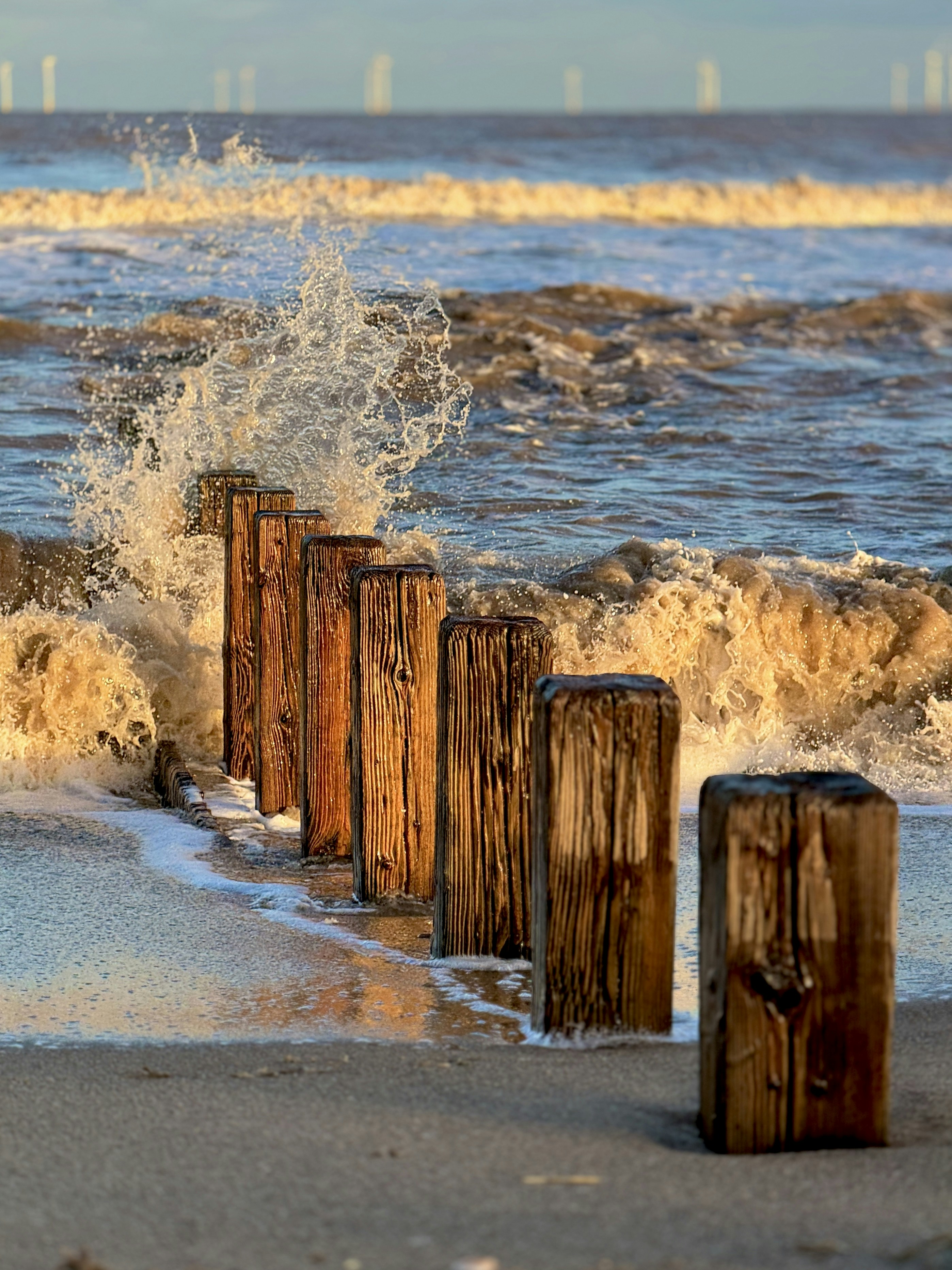 un gruppo di pali di legno seduti in cima a una spiaggia