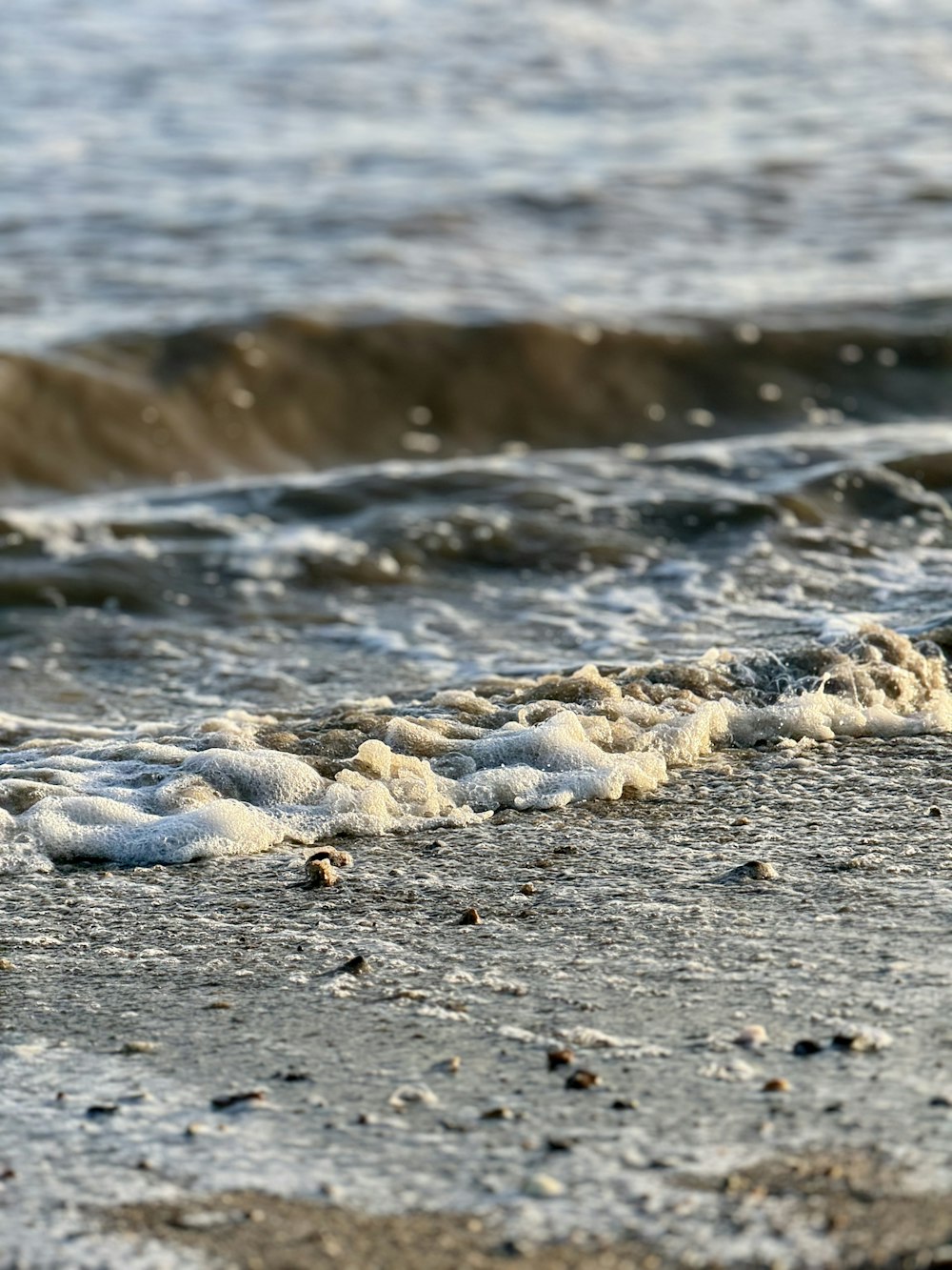 a bird is standing on the beach next to the water