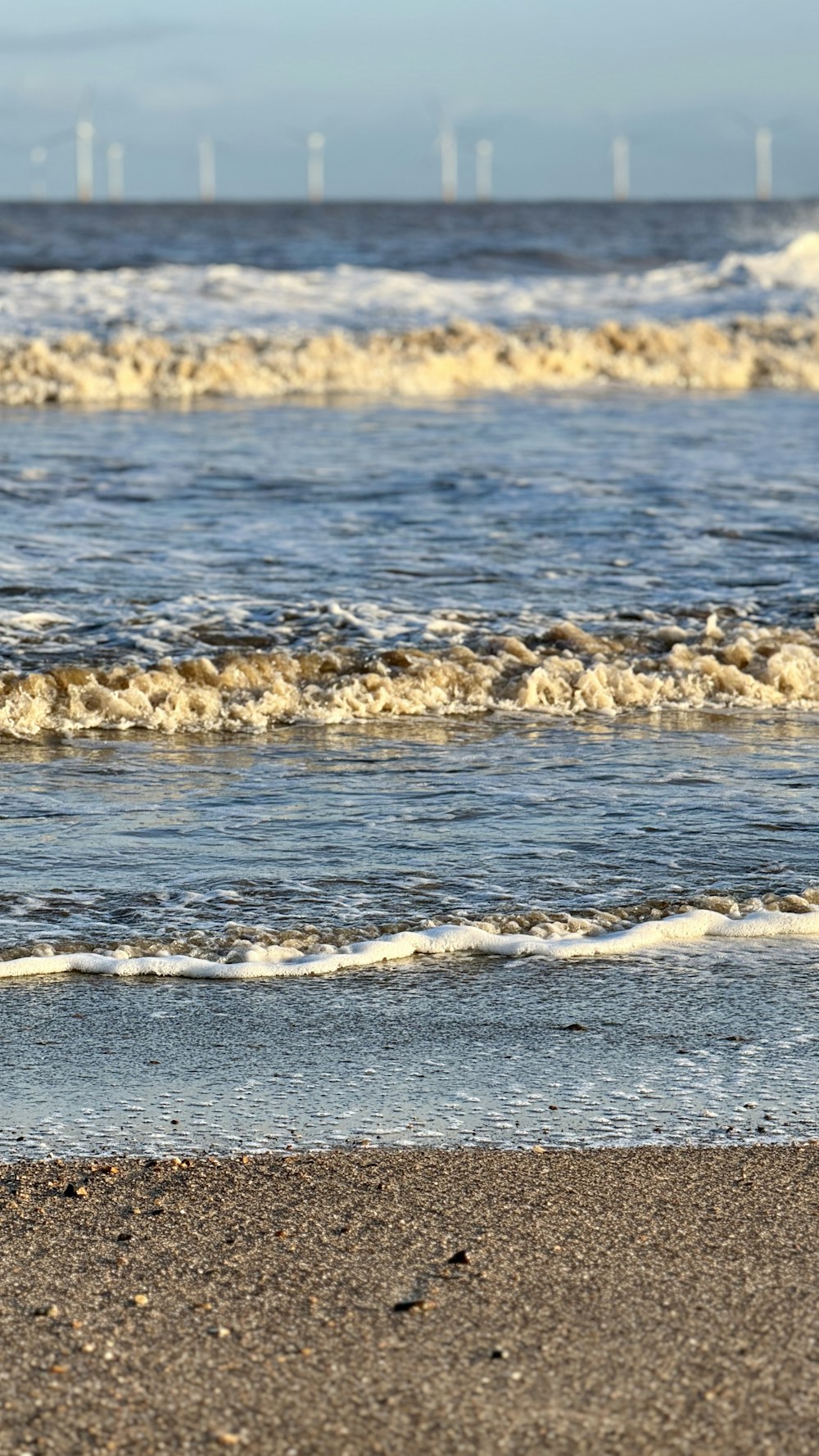 a bird standing on a beach next to the ocean