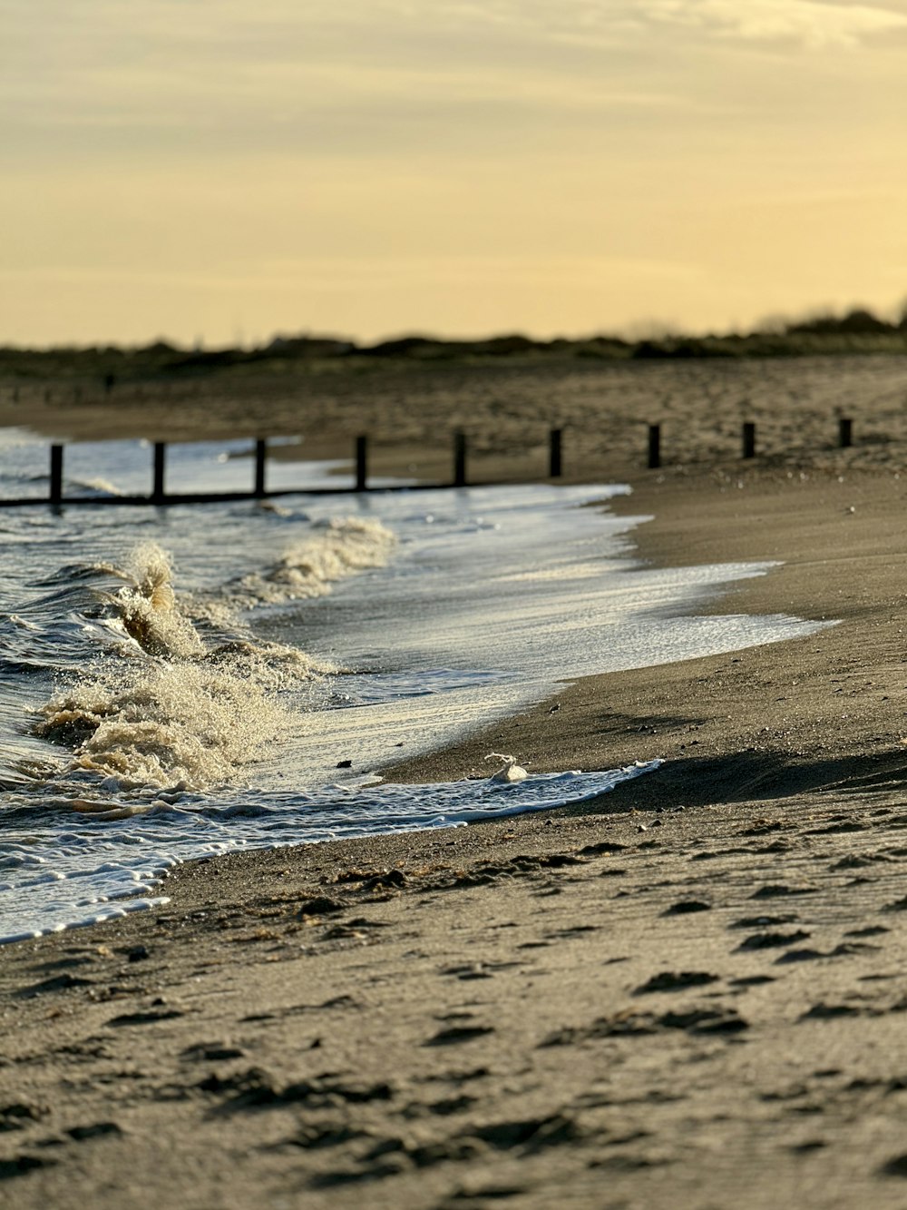 a person walking on a beach next to the ocean