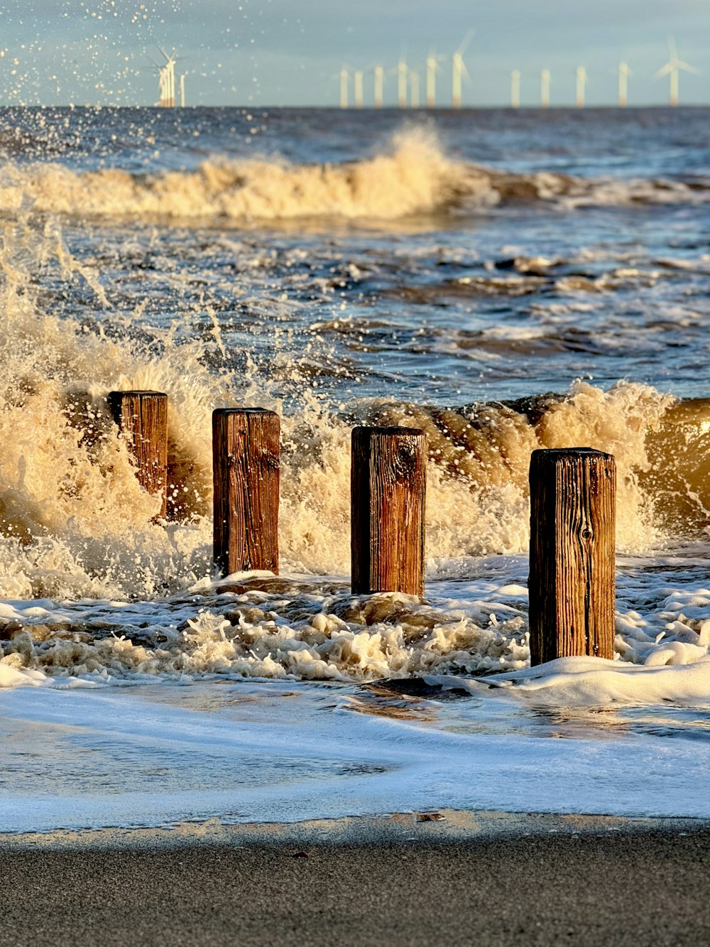 a bunch of wooden posts sticking out of the water