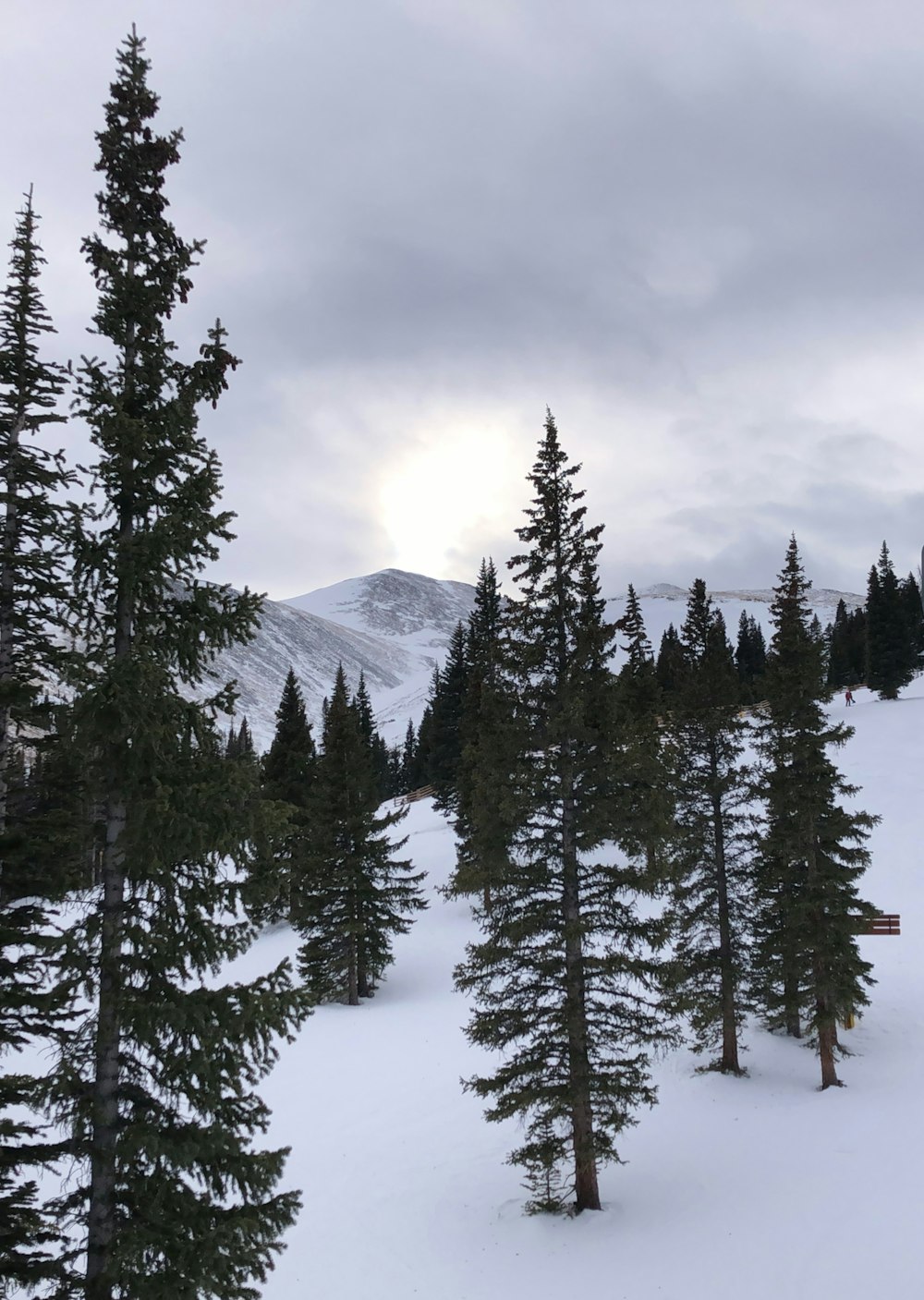 a person riding skis down a snow covered slope