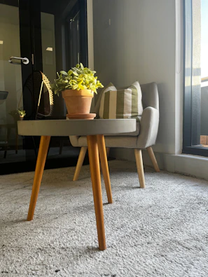 Close-up of a comfortable chair and a small table with a decorative plant